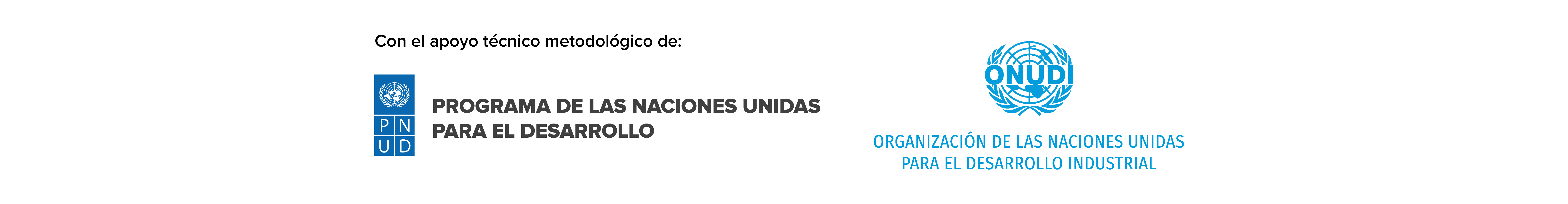 Con el apoyo técnico metodológico de PNUD, ONUDI y planetGOLD Bolivia